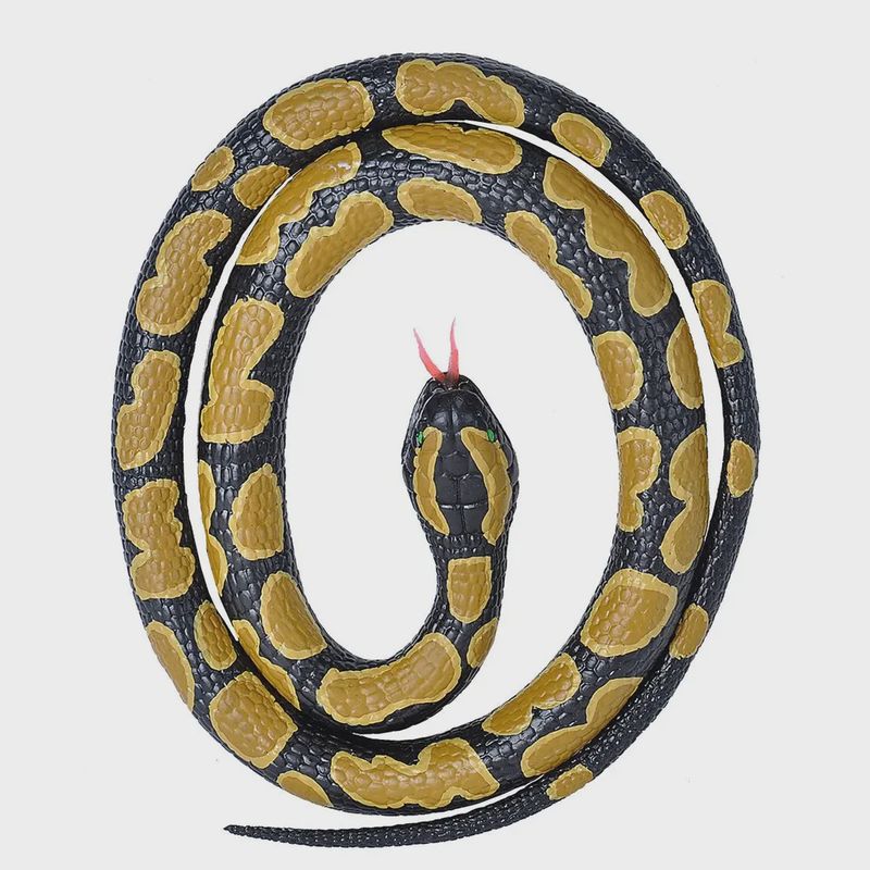 Rubber Snakes Ball Python