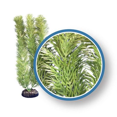 Weco Products Freshwater Pro Series Cabomba Aquarium Plant Green, 1ea/6 in