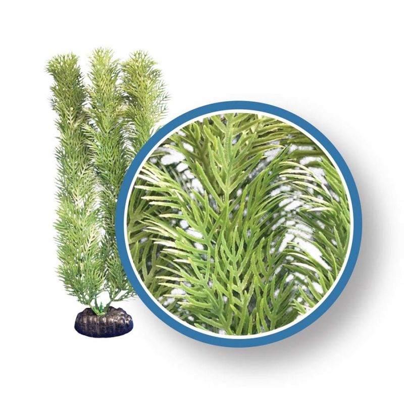 Weco Products Freshwater Pro Series Cabomba Aquarium Plant Green, 1ea/6 in