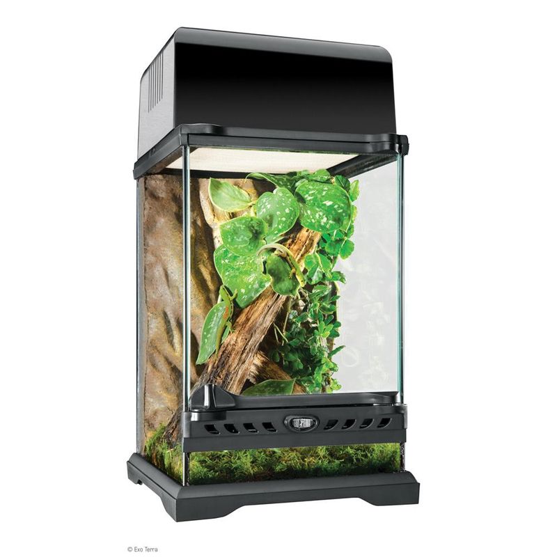 Exo Terra Natural Glass Terrarium Nano Tall 8" x 8" x 12"