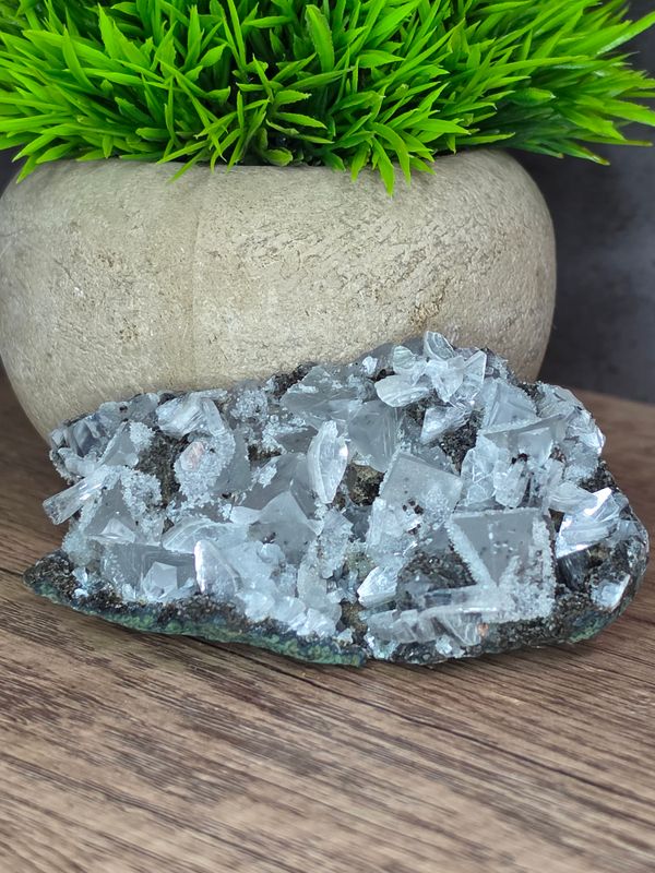 Amazing Apophyllite from India #4