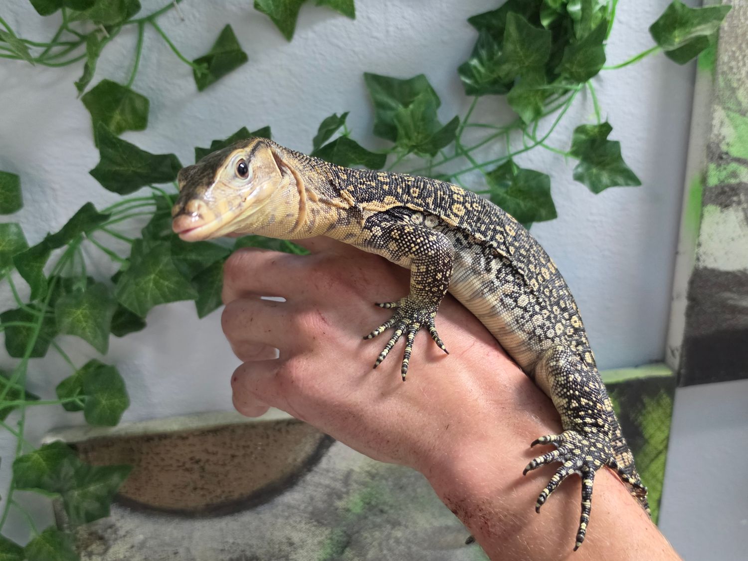 Asian Water Monitor