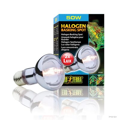 Exo Terra Halogen Basking Spot Lamp 50 watt