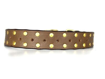 Leather Collar - Handstitched with Stainless Steel hardware