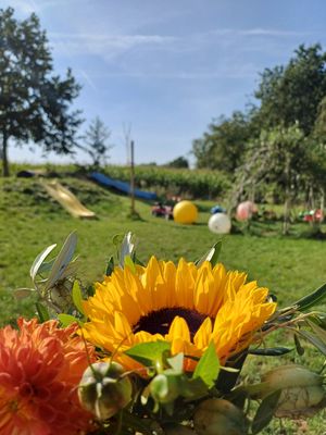 Zonneboerin zoekt zonnebuur