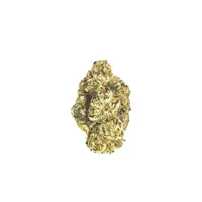 (Exotic) Terp Lords Terp Coin - Indica