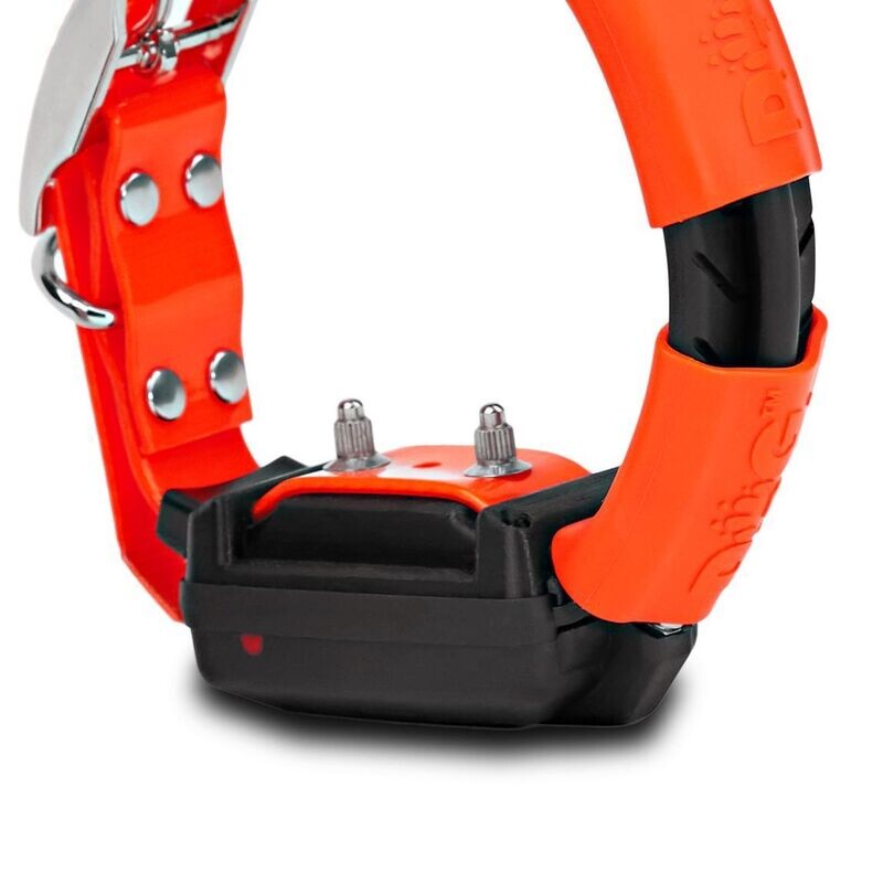 DogTrace Modulo Addestramento per X30