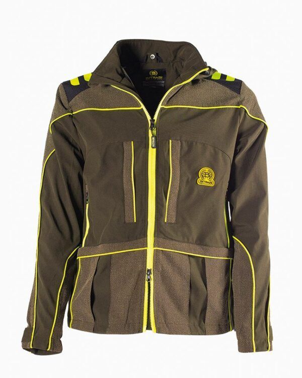 Bitrabi Lion Bitrabi Lion