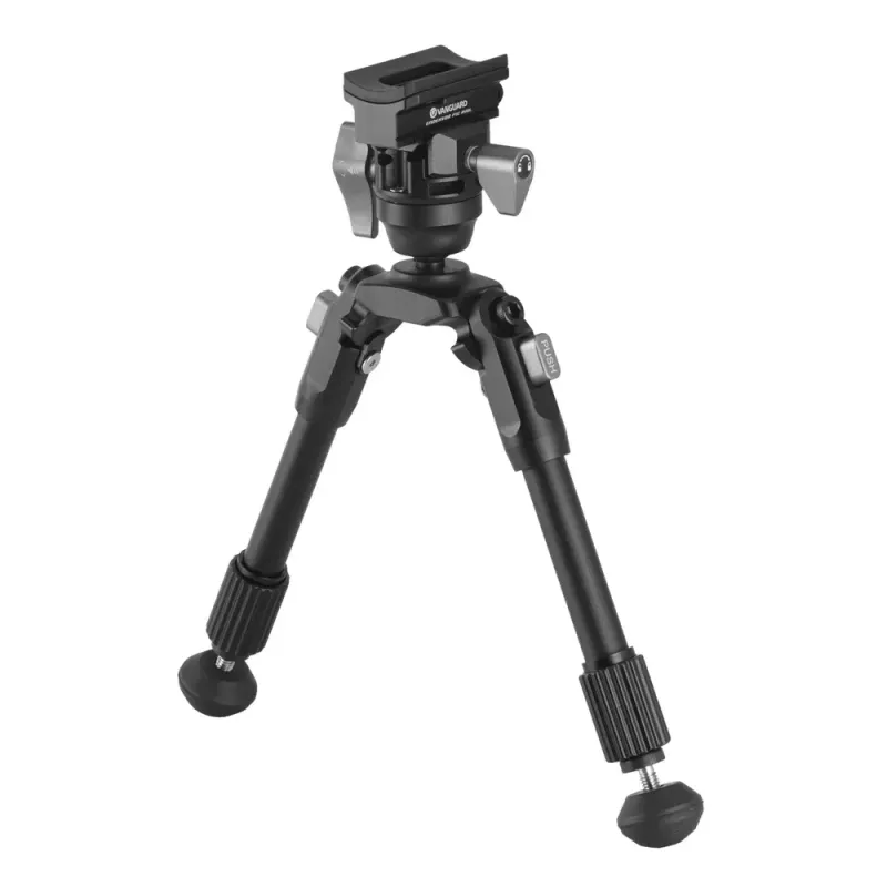 Vanguard Bipiede EQ Precision 1QS
