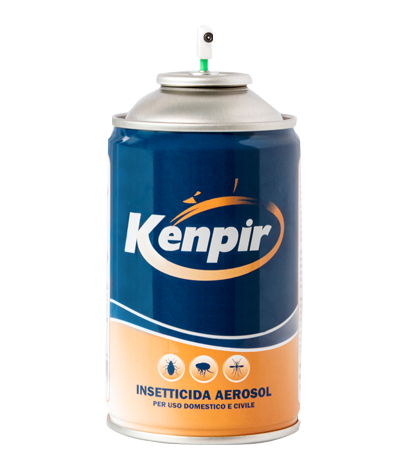 Canicom Kenpir Bomboletta