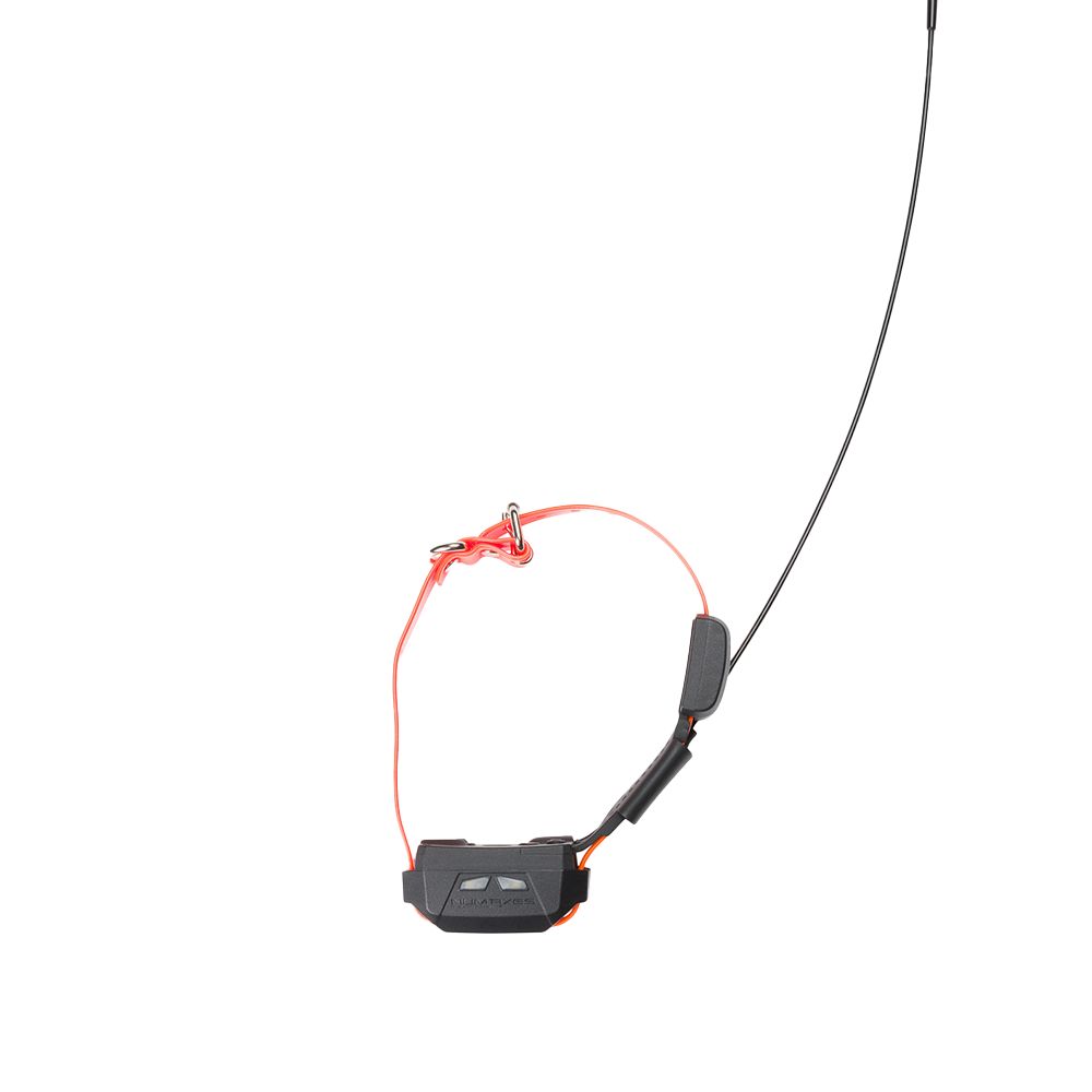 Canicom GPS Mini collare agg con addestramento