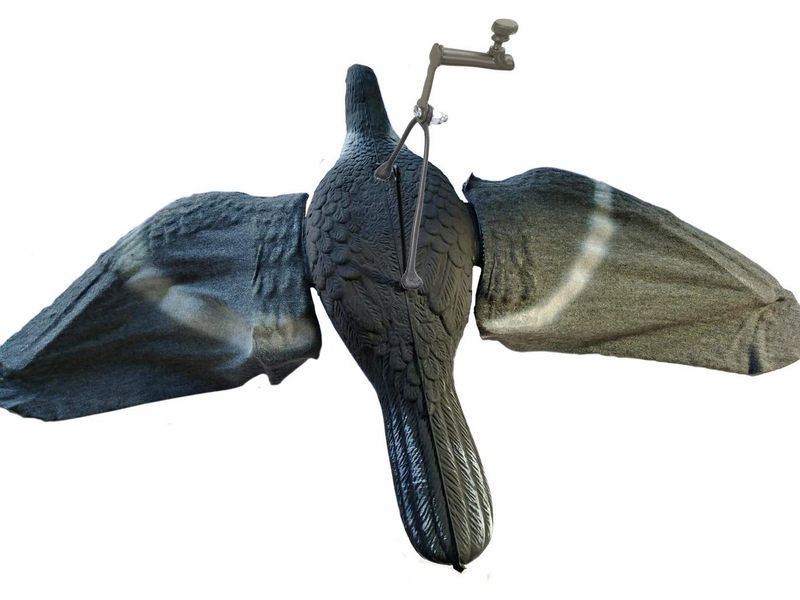 Pianeta Colombaccio