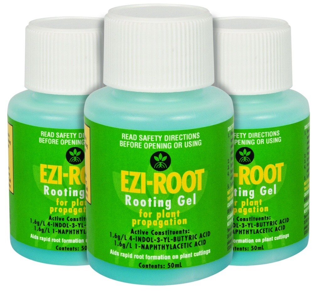 Ezi-Root