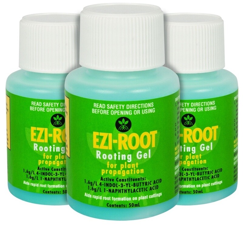 Ezi Root Ezi Root