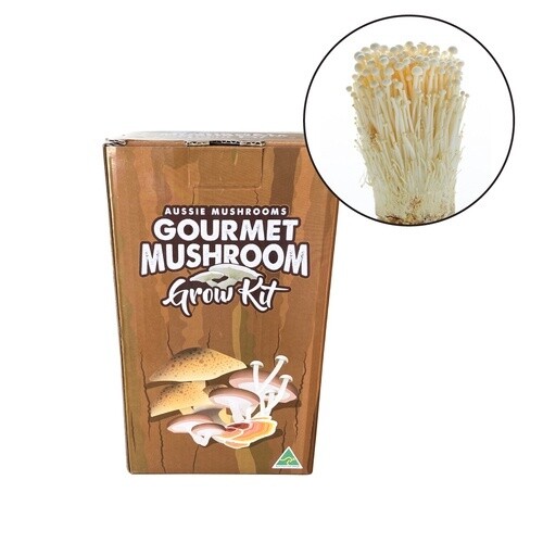 Aussie Gourmet Mushroom Grow Kits, Type: Blue/Pearl (Pleurotus Ostreatus)