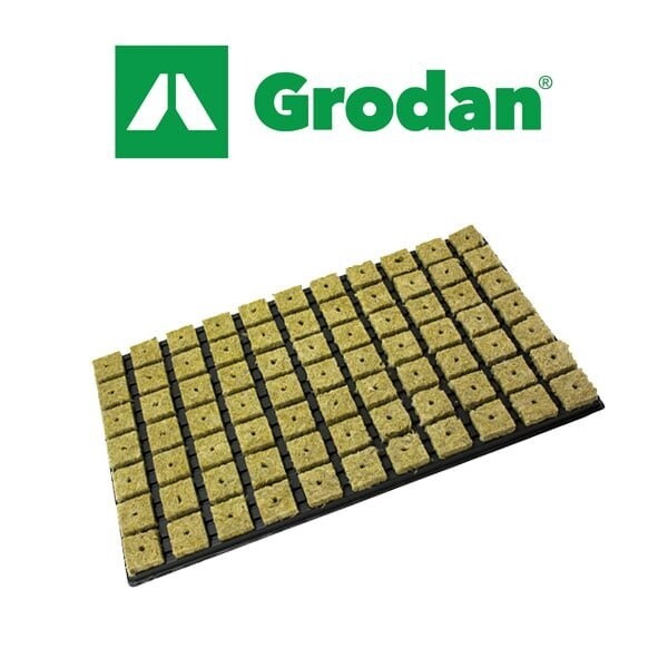Grodan Rockwool Propagation Cubes in Plastic Tray -  35mm X 35mm X 40mm
