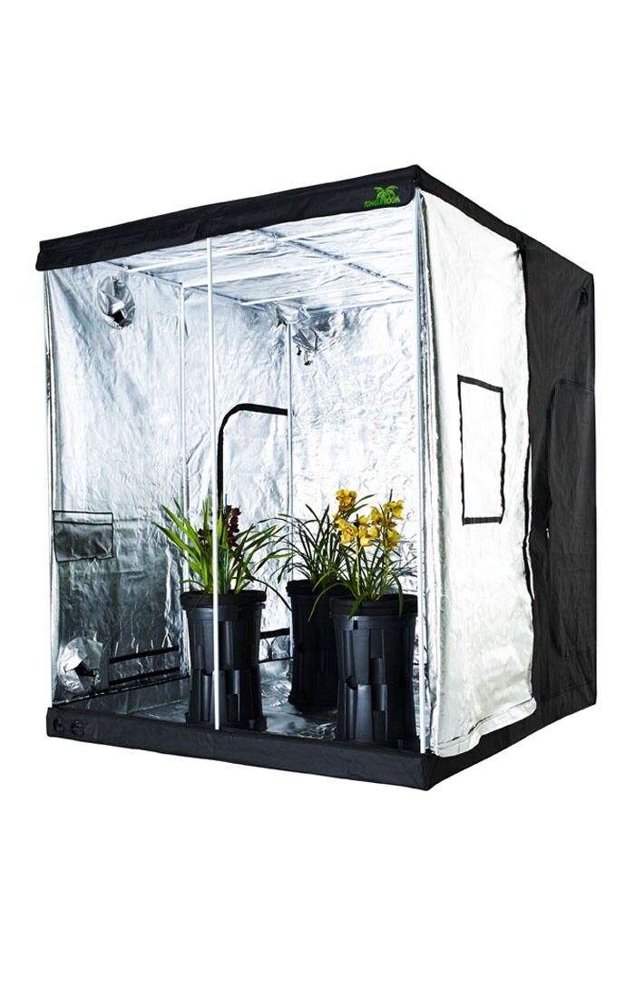 Jungle Room Tents, Size: 295 X 295 X 230cm Tall Tent