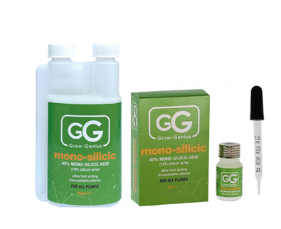 Grow Genius Mono silicic
