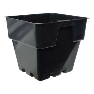 Standard Square Pots, Size: 95 x 85 x 80mm