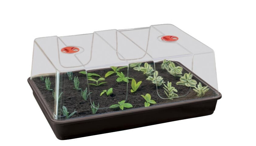 Propagation High Domes &amp; Kits, Size: XL  Garland  Propagation Kit