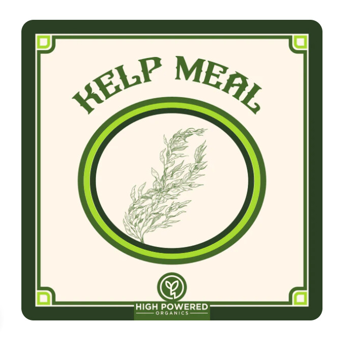 Kelp Meal, Size: 500g