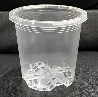 Clear Orchid Pot 125mm