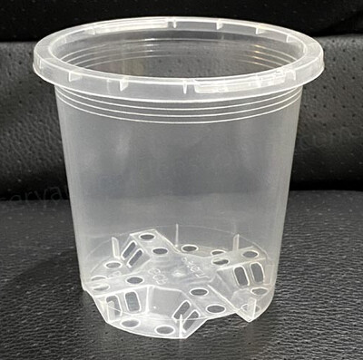 Clear Orchid Pot 90mm