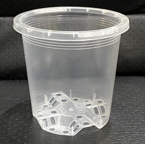 Clear Orchid Pot 150mm