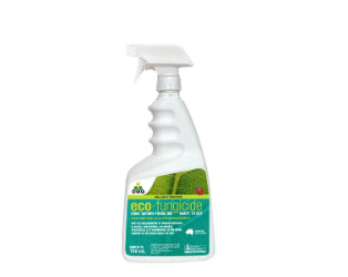 Eco Fungicide, Size: Eco Fungicide RTU 750ml