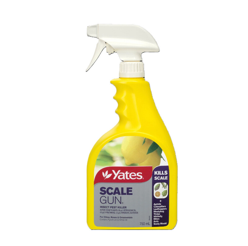 Gunj Insect Scale Gun Insect Pest Killer RTU Spray 750ml