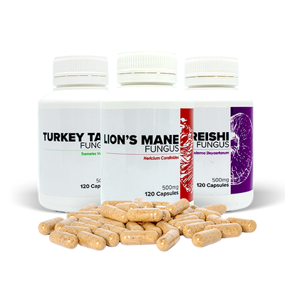 Immunity Mushroom Capsules 500mg
