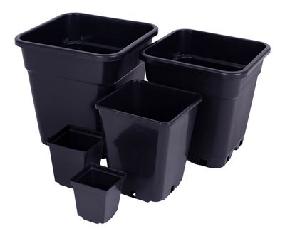 Square Plastic Pots