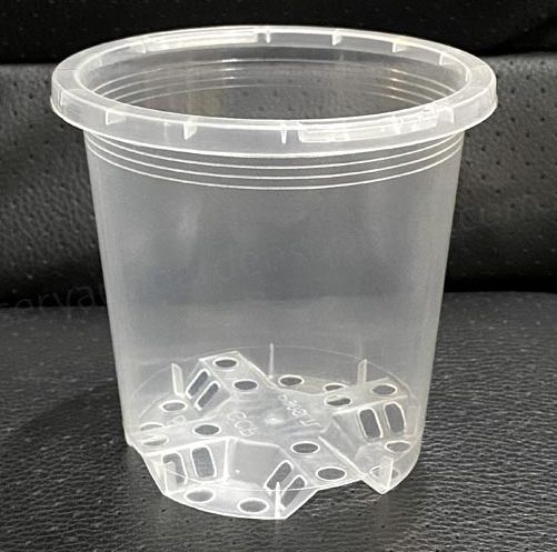 Orchid Pots, Size: 200mm Clear Orchid Pot