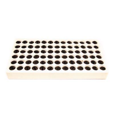 Preforma 78 Cell Plug &amp; Tray with Hole 30mm