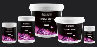 Extreme Boost