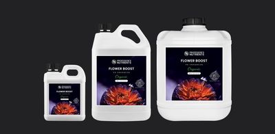 Organic Flower Boost
