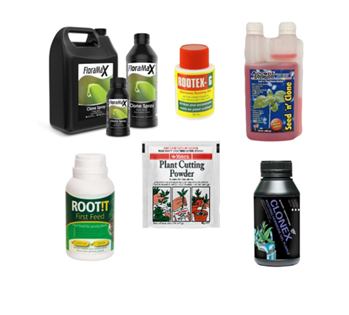 Cloning &amp; Hormone Solutions