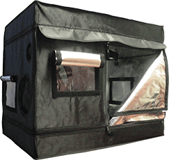 High Clone Tents