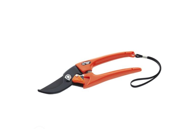 Pruning Shears