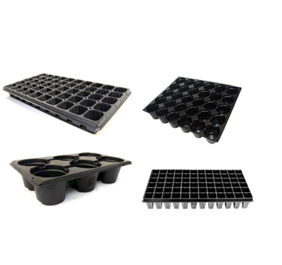 Cell Trays