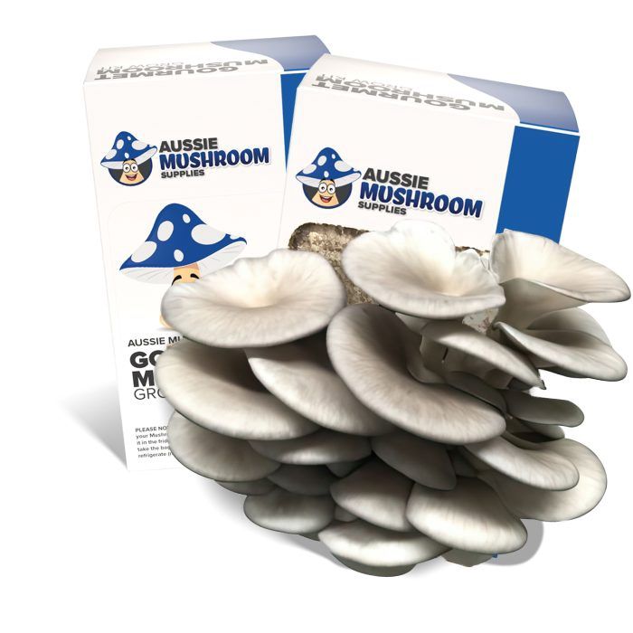 Aussie Gourmet Mushroom Grow Kits, Type: Blue/Pearl (Pleurotus Ostreatus)