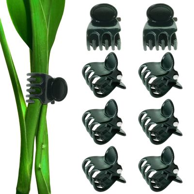 Orchid Clips &amp; Rings