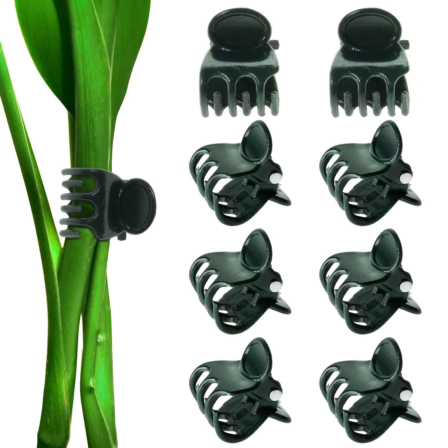 Orchid Clips &amp; Rings, Item: Orchid Clip 14mm 10pk
