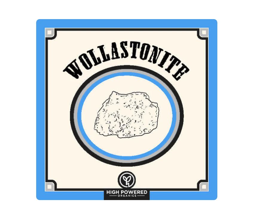 Wollastonite 1kg