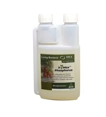 Max Phosphorus Booster