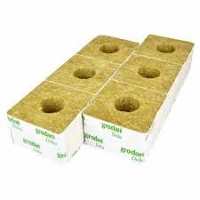 Grodan Propagation Cubes, Size: 150 x150mm Carton (48 cubes)