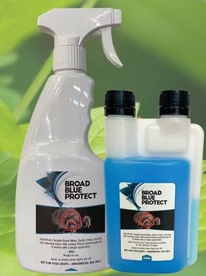 Broad Blue &amp; Barrier Guard