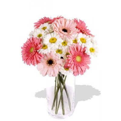 10 pcs Mixed Gerbera and Chrysanthemum Vase Bouquet