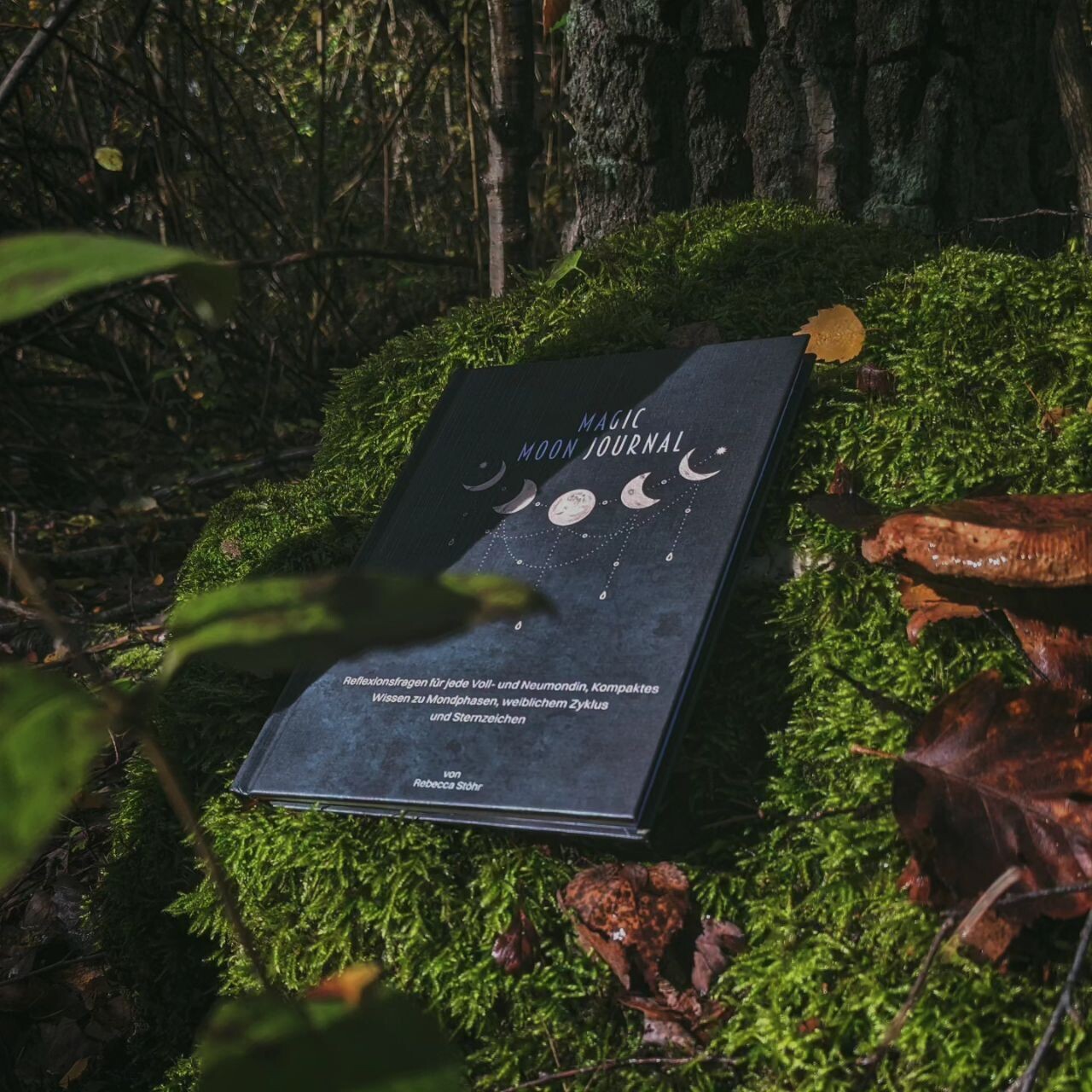 Magic Moon Journal 2025