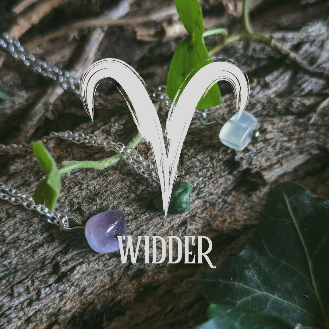 Widder